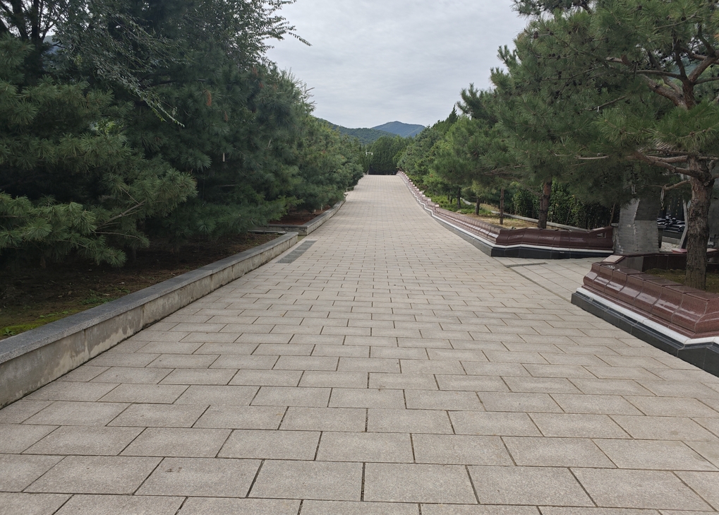 园区道路